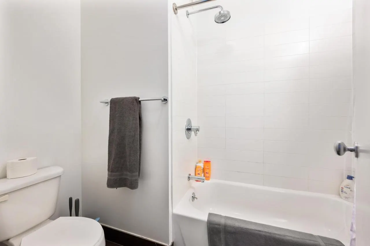 Gorgeous Studio In Nyc Apartment New York